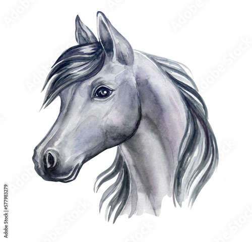 Black Horse portrait. Watercolor. Realistic animal isolated on white background. Template. Close-up. Clip art. Hand drawn