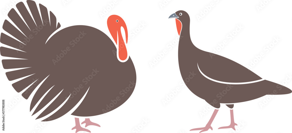 Obraz premium Turkey logo. Isolated turkey on white background. Bird