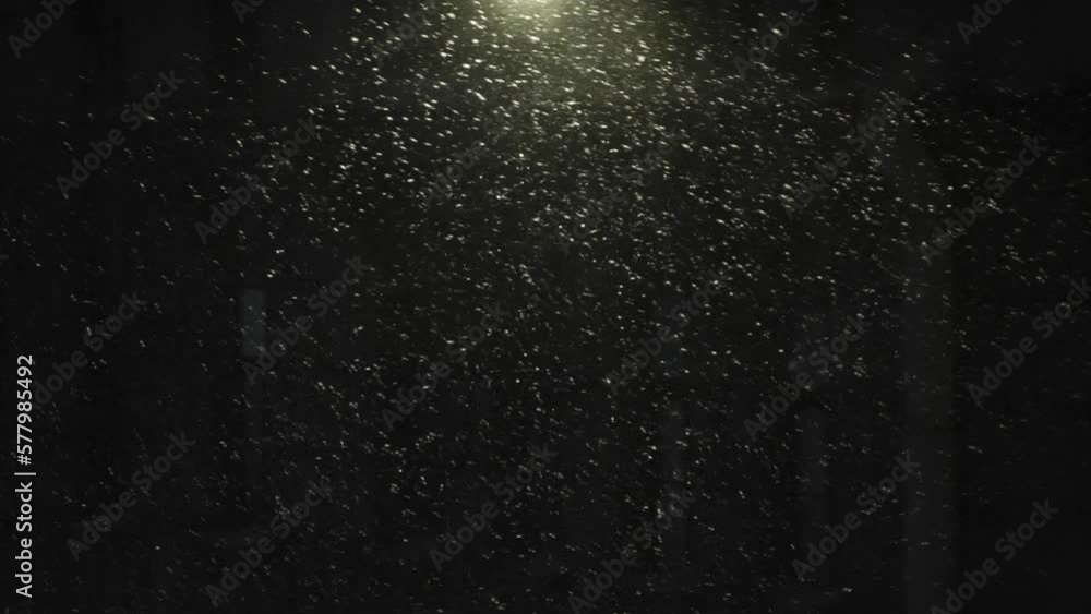 Falling Snow in a Beam of Light. In the light of a street lamp, snowflakes of a heavy snowfall fly by. In the background, the dark facade of a night building