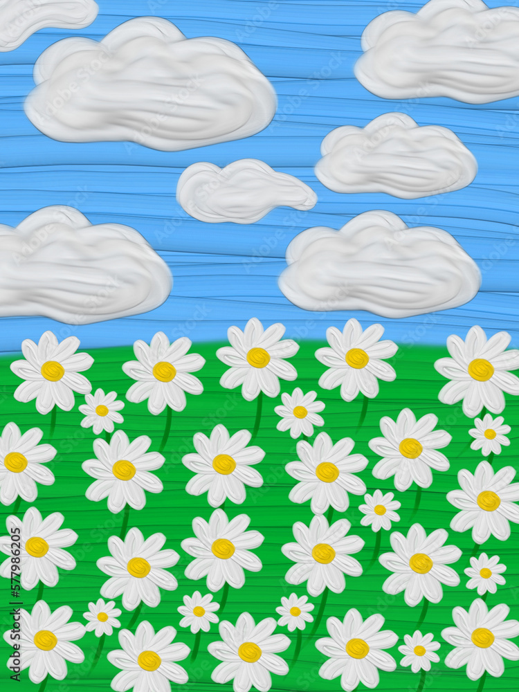 daisies and sky