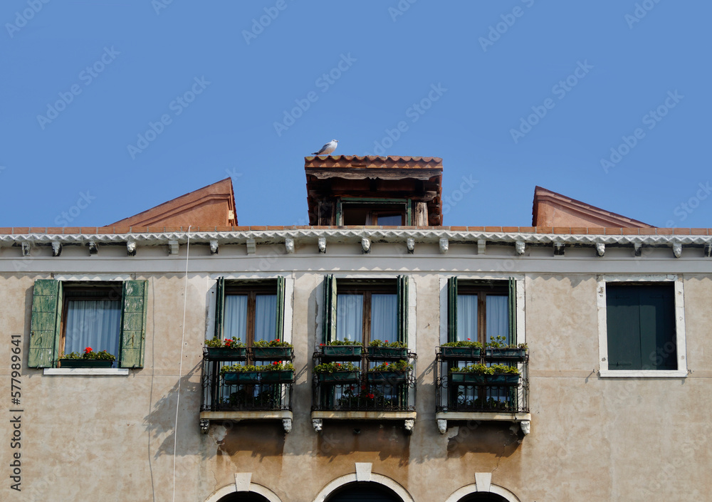 a seagull sitting on the roof of a quaint ancient mediterranean house of Venice, Italy on a sunny day