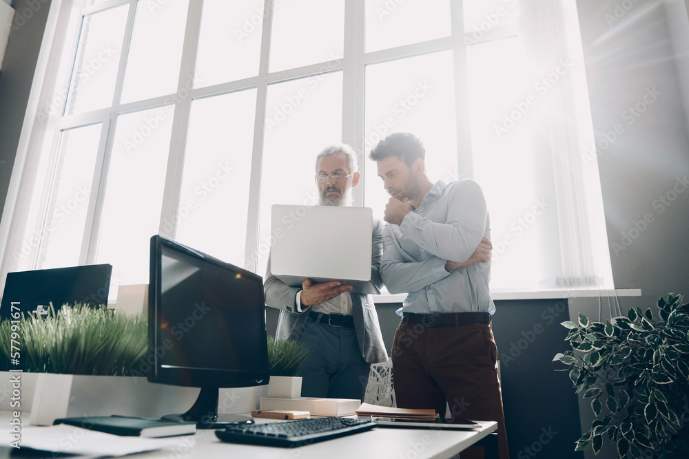 Two confident men looking at the laptop while working in the office together