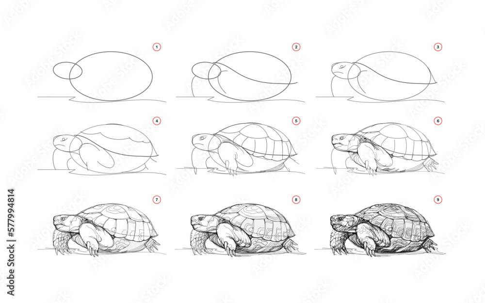 Sea Turtle Drawing by artistic101 - DragoArt