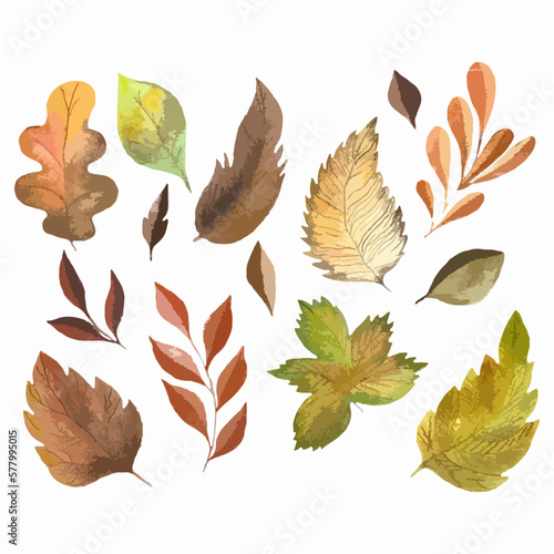 Watercolor illustration, hand drawing, autumn leaves yellow, brown, green