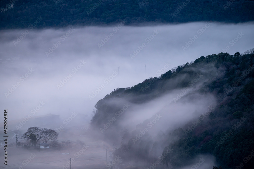 静かな霧の朝