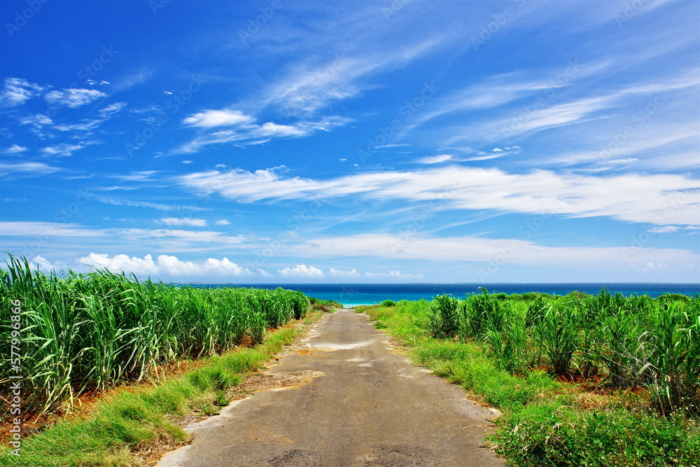 沖縄県小浜島南側の道と空