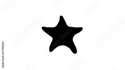 Starfish silhouette
