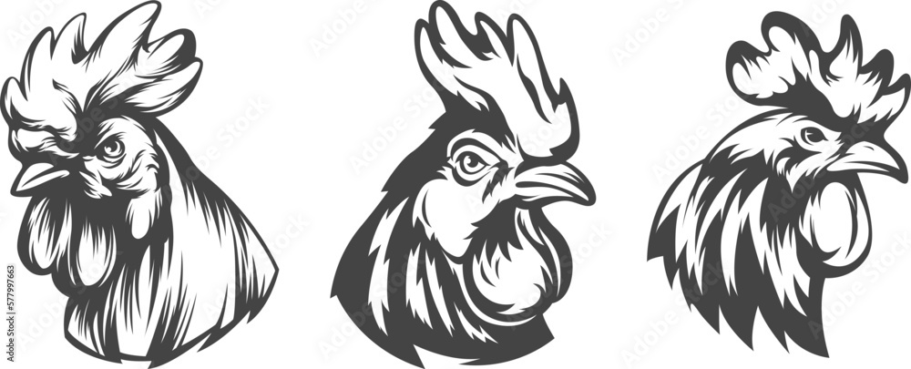 Obraz premium Head of rooster set. Cock abstract character illustration. Graphic logo designs template for emblem. Image of portrait for company use.