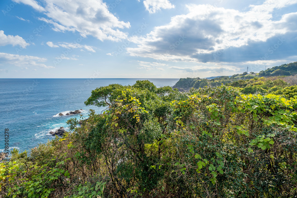 Obraz premium 井の岬