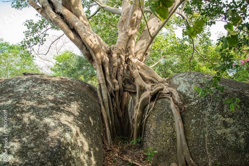 THAILAND PRACHUAP KHIRI KHAN STONE PARK photo