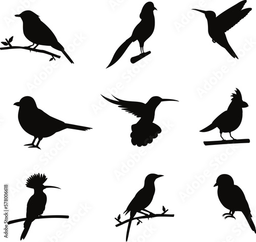 A black silhouette of birds with different colors