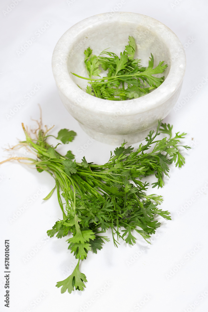 Coriander is an annual herb in the family Apiaceae. It is also known as dhania or cilantro. All parts of the plant are edible, but the fresh leaves and the dried seeds are the parts most traditionally