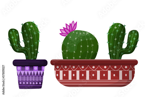 cactus in a basket or pots flat style 