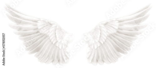 Realistic angel wings. White wing isolated. png transparency