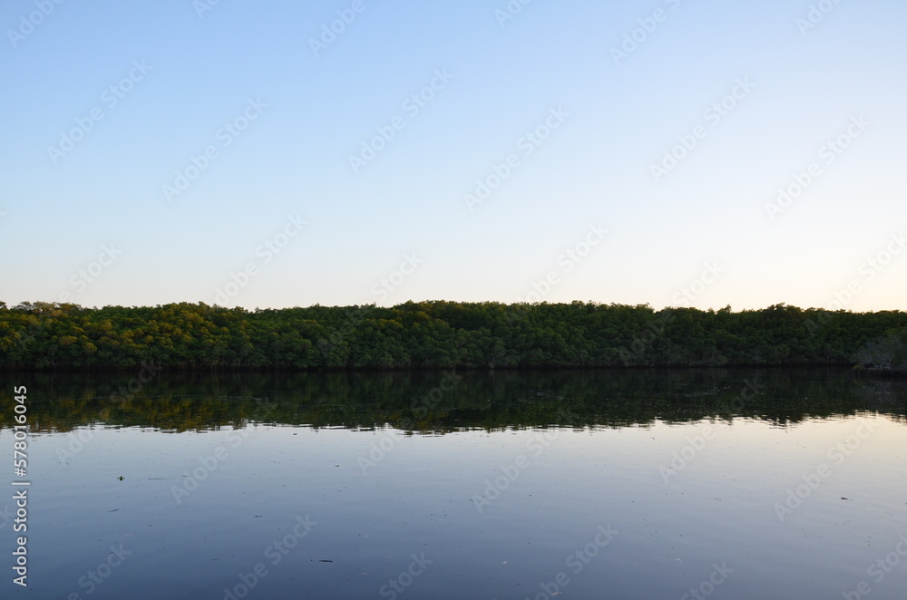 pond or lake water at sunset with trees at dusk
