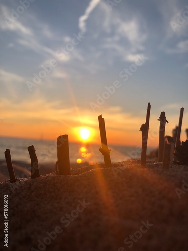 sunset in the beach