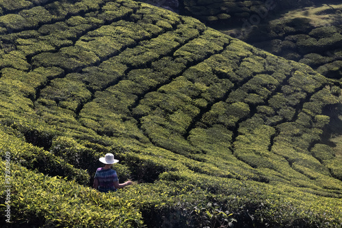 Young caucasian female traveling backpacker up hill and down dale in Munnar, Kerala state, Idukki district, India photo