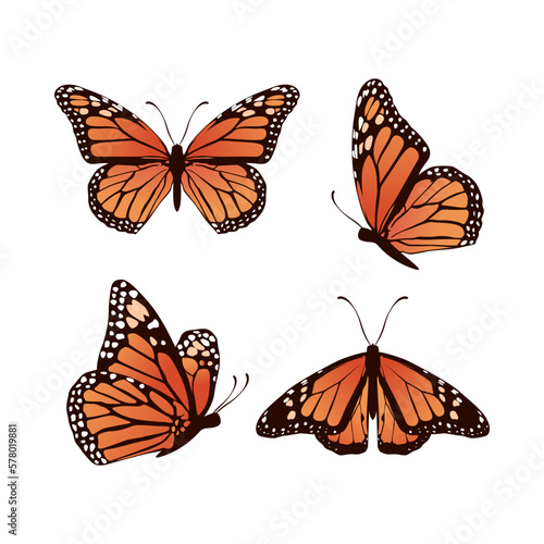 collection of realistic butterfly vector illustration design © Kitypaws design