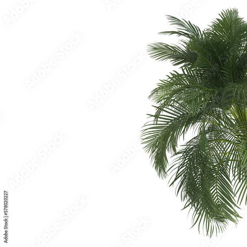 Green palm leaf isolated on transparent background. Summertime. Rest for the holidays. 3d render © gamespirit