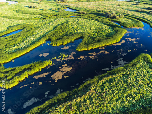 Aerial view of overgrown lake in summer.