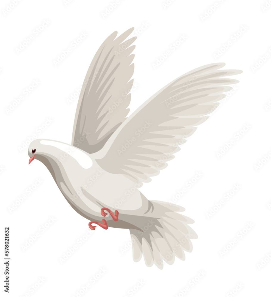 Obraz premium dove bird flying