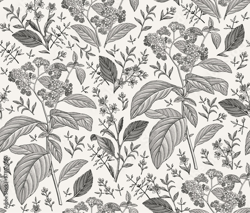 Seamless pattern. Heliotrope garden wildflowers. Beautiful blooming realistic isolated flowers. Vintage background fabric Wallpaper baroque Drawing engraving sketch Vector victorian illustration retro