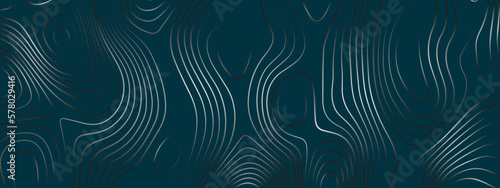 Fotografiet Blue wavy abstract topographic map contour, lines Pattern background