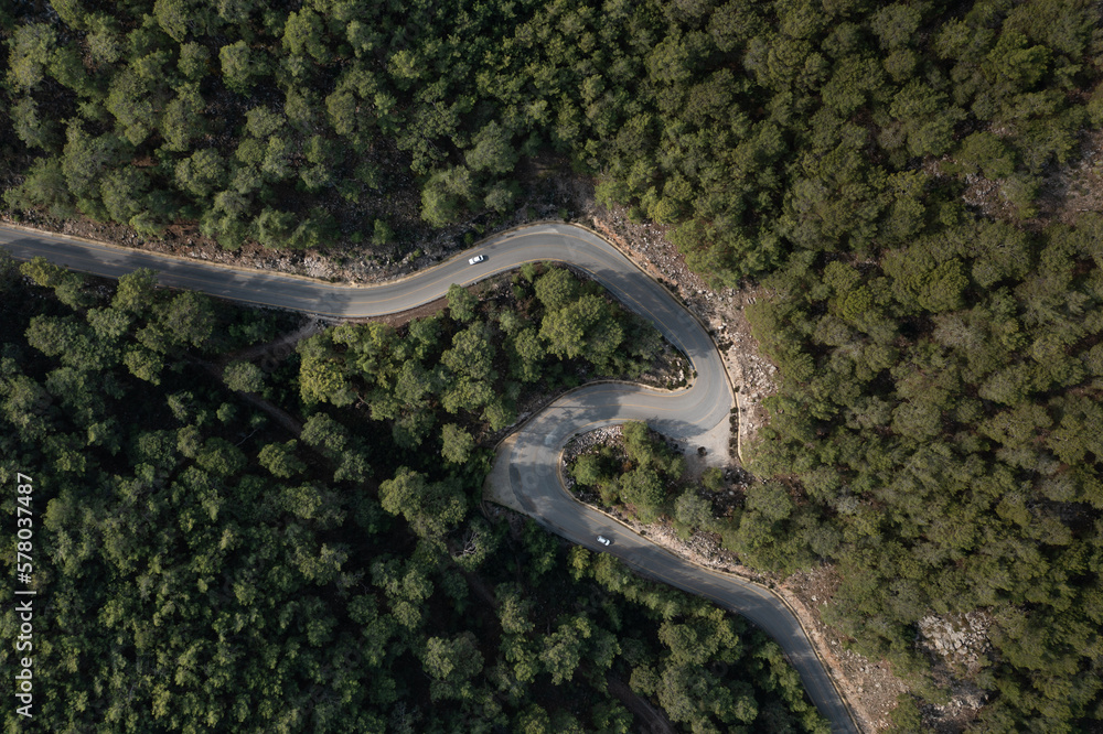 Curly serpentine road among green forest trees. Drone view from above Curly serpentine road among green forest trees. Drone view from above