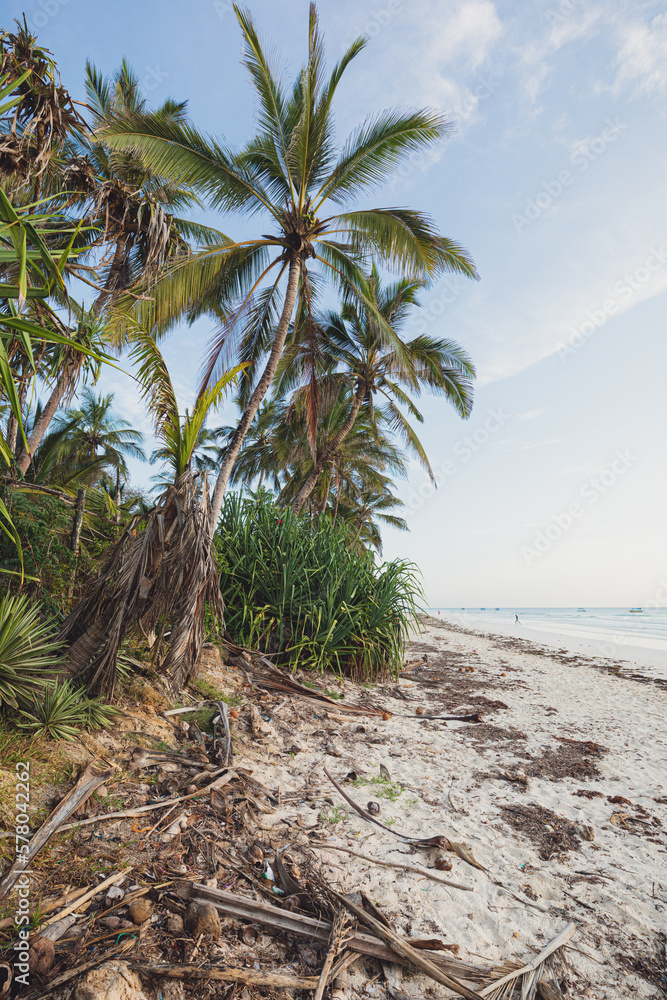 Obraz premium Diani beach in the morning, Kenya