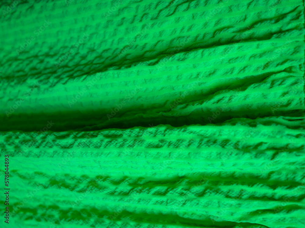 detail of a rich green dress with decorative elements and pleats detail of a rich green dress with decorative elements and pleats