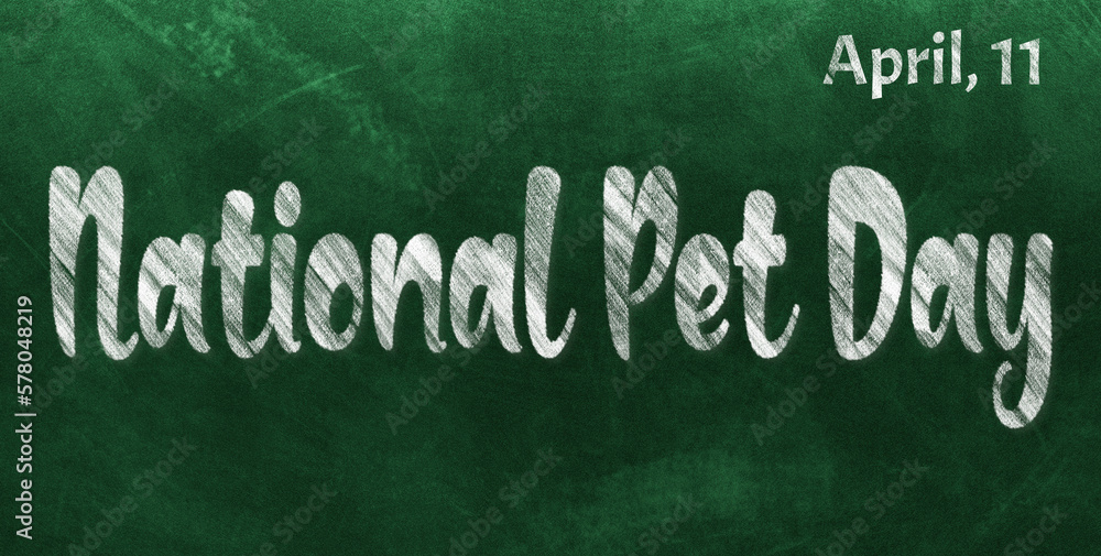 Fototapeta premium Happy National Pet Day, April 11. Calendar of April Chalk Text Effect, design