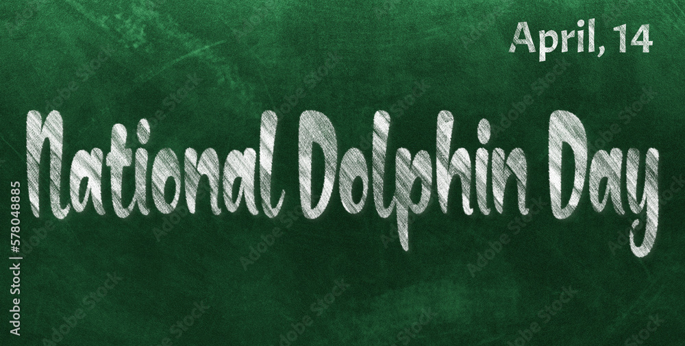 Fototapeta premium Happy National Dolphin Day, April 14. Calendar of April Chalk Text Effect, design