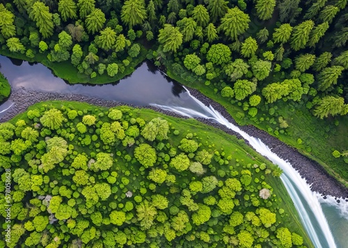 aerial view of the river in the forest