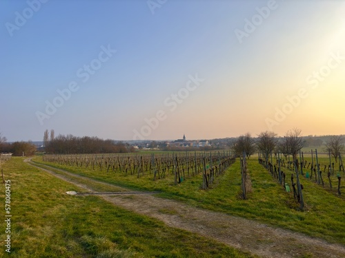 Stunning winter sunset over the picturesque Berrwiller vineyard with winding farm road, towering trees, and charming village church spire in the distance, a captivating and tranquil scene