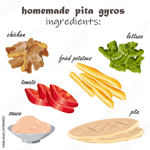 Ingredients with pictures for traditional homemade Greek souvlaki pita gyros chicken on white background. Food vector illustration.