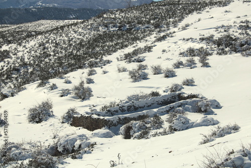 snow on old animal yard