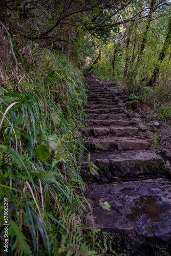 Stairs outside in nature, europa 