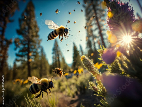 Деревенская пасека. Пчелиные ульи. Натуральный мёд. Дикий мёд. Пчёлы на пасеке. Пчелы собирают мёд на лугу. 