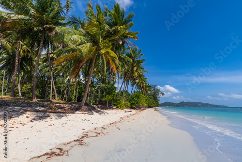 Sandy beach at tropical paradise with palm trees on sea shore and turquoise ocean  Samui  Thailand