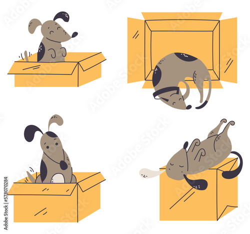 Dog animal adopt pet shelter line art style concept set. Vector graphic design illustration element