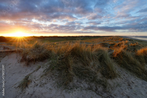 Fototapeta Naklejka Na Ścianę i Meble -  Sand dunes of Annovilles in the Cotentin coast