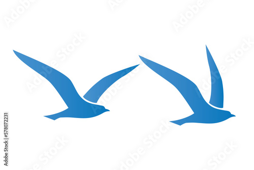 seagull logo design vector template  © ellistya