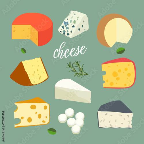 Set with different types of cheese. Cheese set isolated on green background. An assortment of hard, soft, moldy, spiced cheeses made from cow, sheep or goat milk.