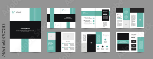 Professional Proposal Brochure template 