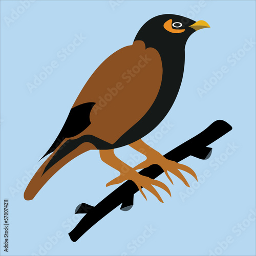 Vector artwork of a beautiful myna birds 1