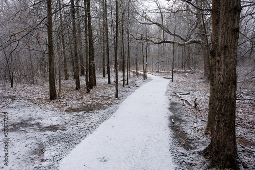 trail in the swamp covered with snow in winter © Michele