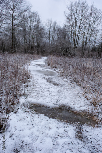 frozen trail in the swamp covered with snow in winter