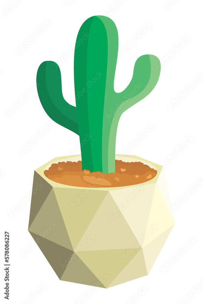 Cactus maceta octogonal, png Cactus maceta octogonal, png