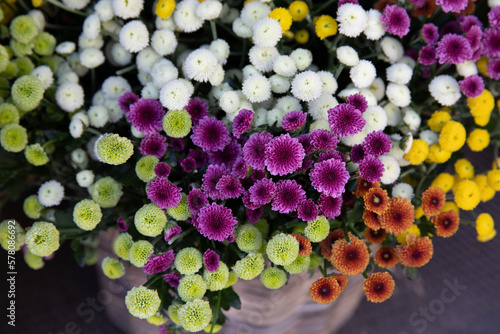 Fototapeta Naklejka Na Ścianę i Meble -  Wicker basket full of colorful chrysanthemums - floral background.
