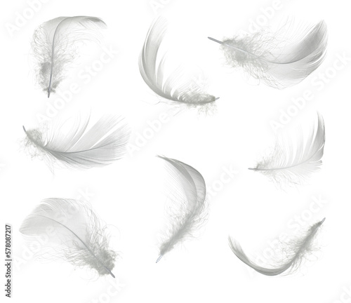 Photographie White feather set isolated